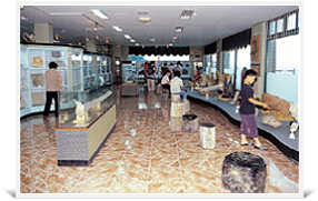 Gyeongbo Fossil Museum