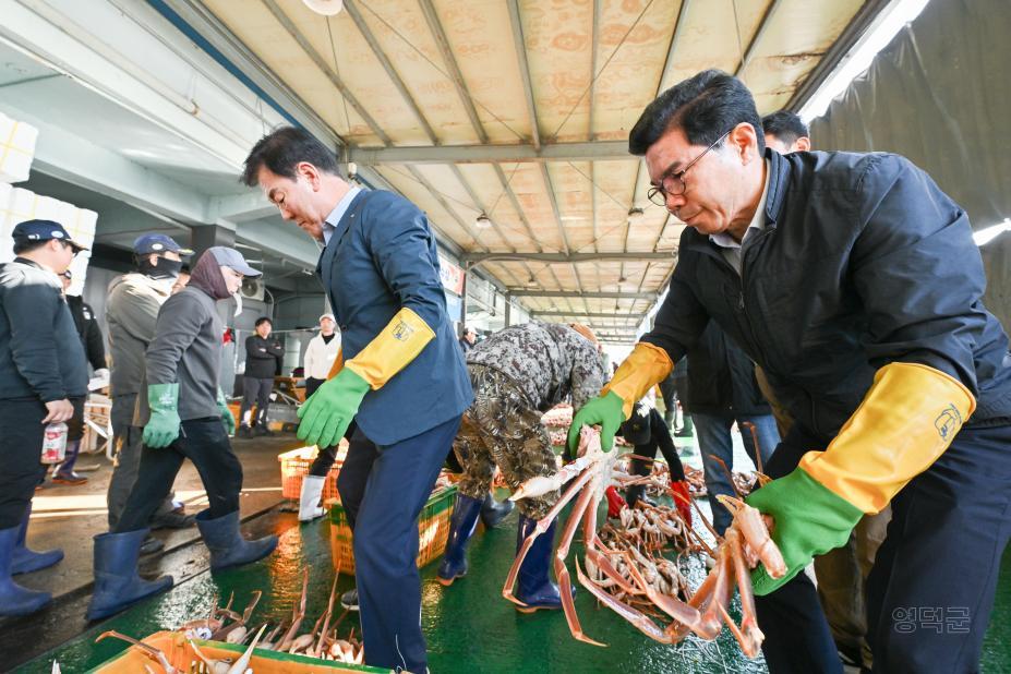 2024. 11. 3 강구수협 영덕대게 첫 위판 사진