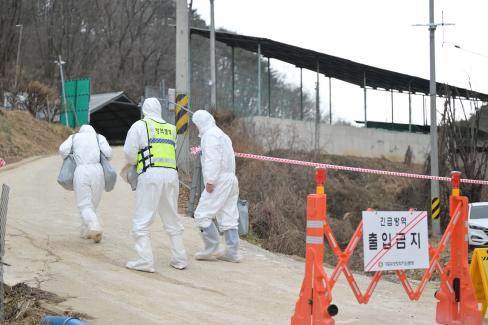 2024. 1월 아프리카 돼지열병 의심축 발생 비상대책회의