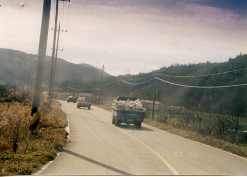 2003. 11월 축산면 자원재활용품 수거 사진