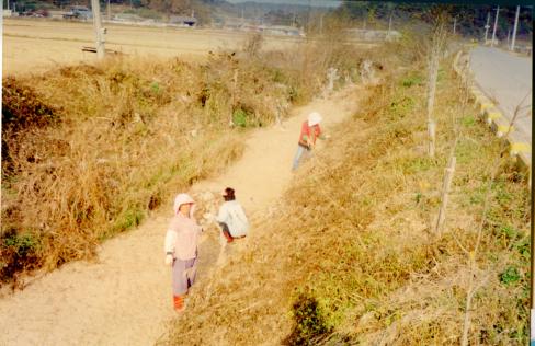 2004. 1월 축산면 환경정화 활동