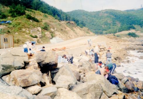 2004. 1월 축산면 환경정화 활동 사진