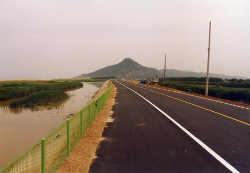 2004. 7월 고래불 대로 사진