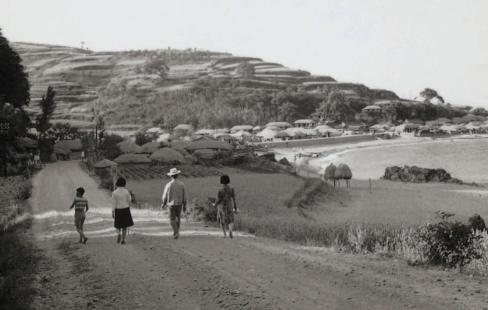 1960년대 남정면 구계리 신작로