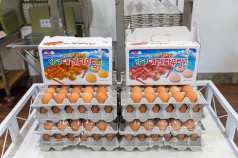 영덕대게 키토산 타우링 계란