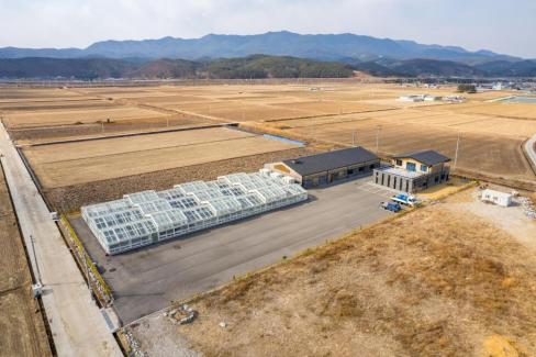 자염 현담 소금