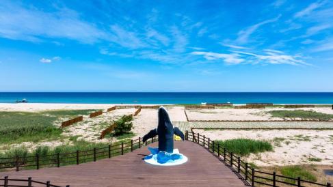 2025. 8월 고래불 해안