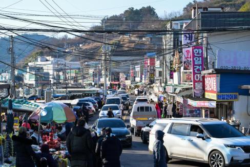 2026. 1. 31 강구항 대게거리 사진