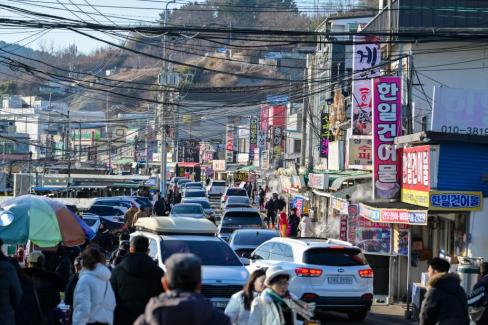 2026. 1. 31 강구항 대게거리 사진